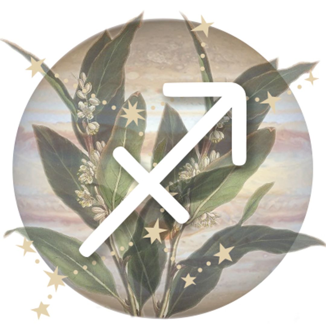 Sagitario Horoscope Sign