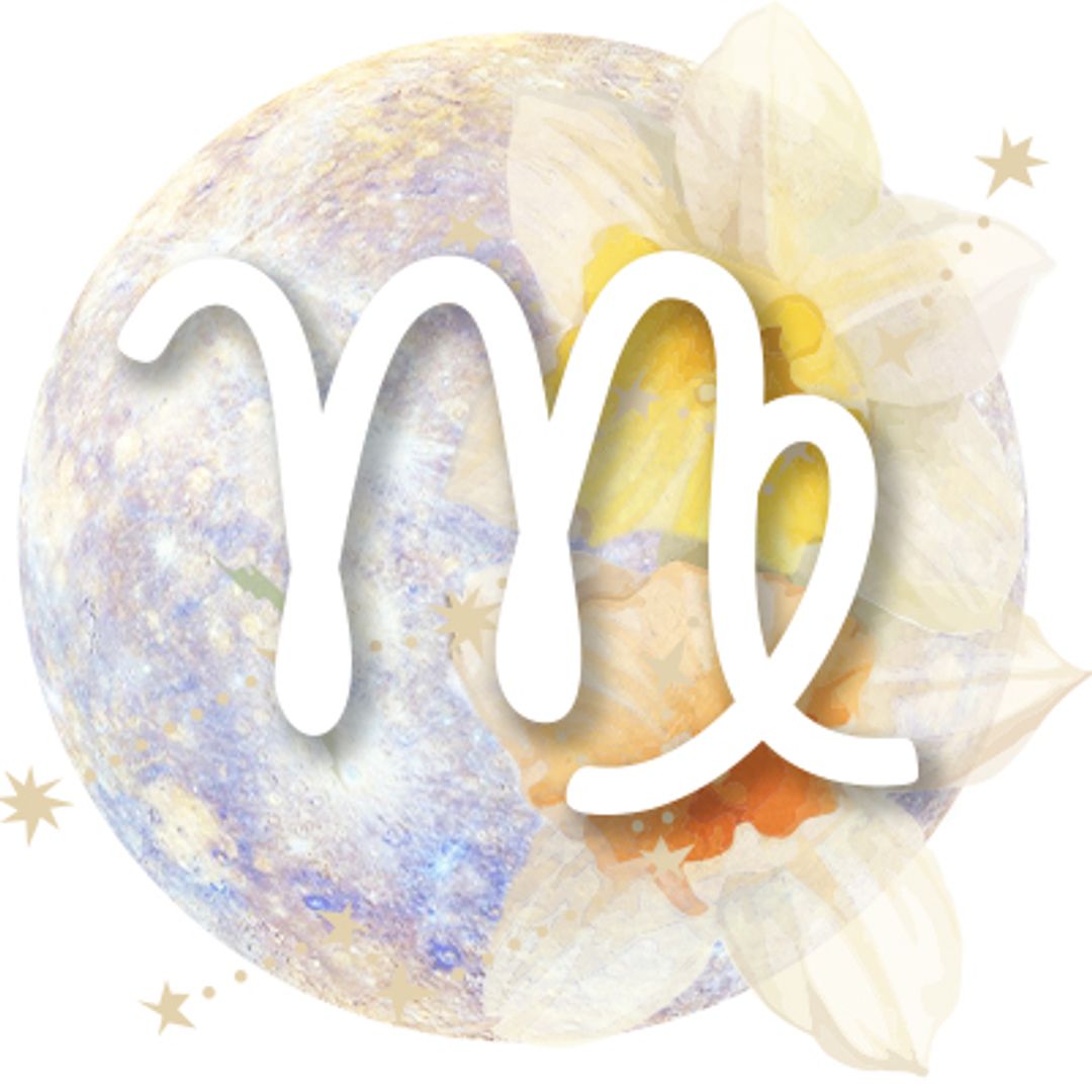 Virgo Horoscope Sign