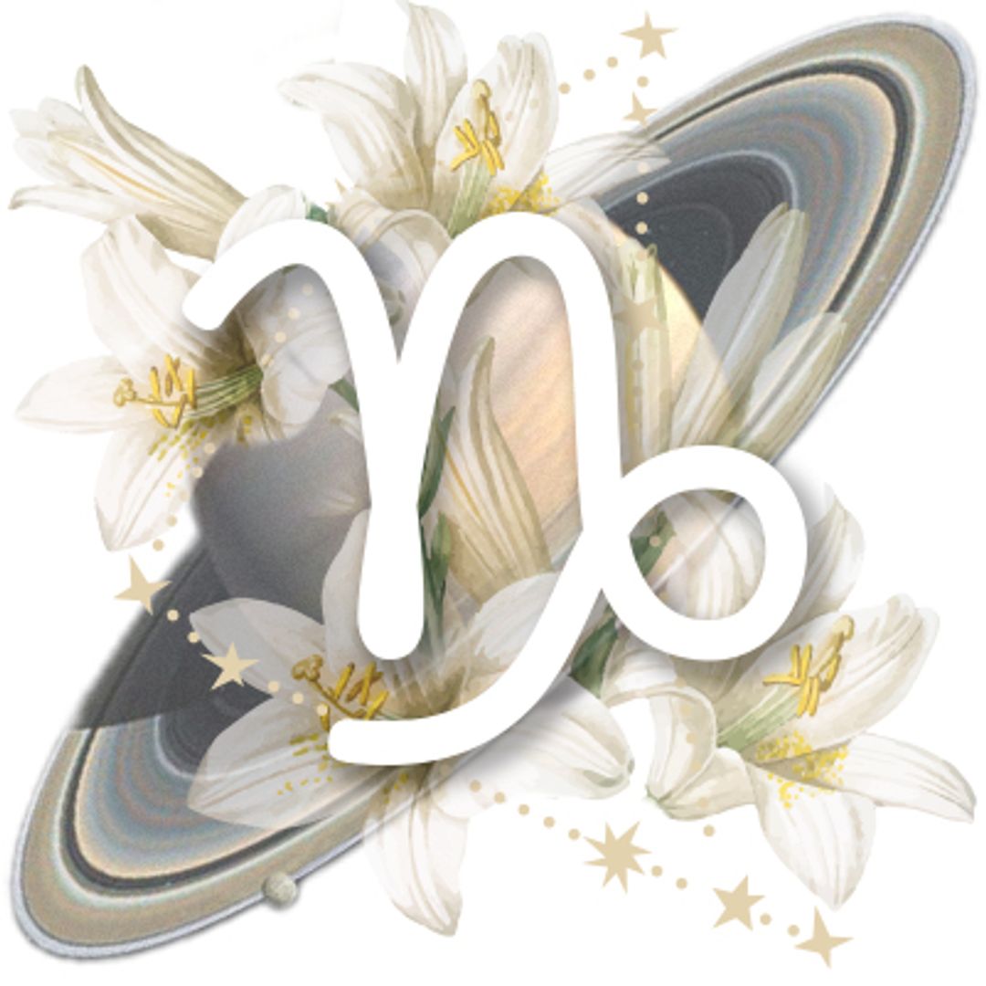 Capricornio Horoscope Sign